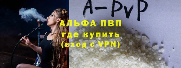 молекула духа Костерёво