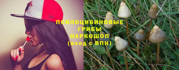 молекула духа Костерёво