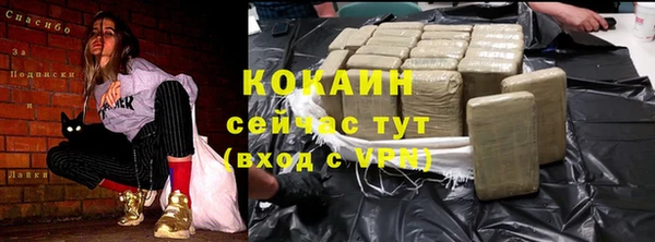 молекула духа Костерёво